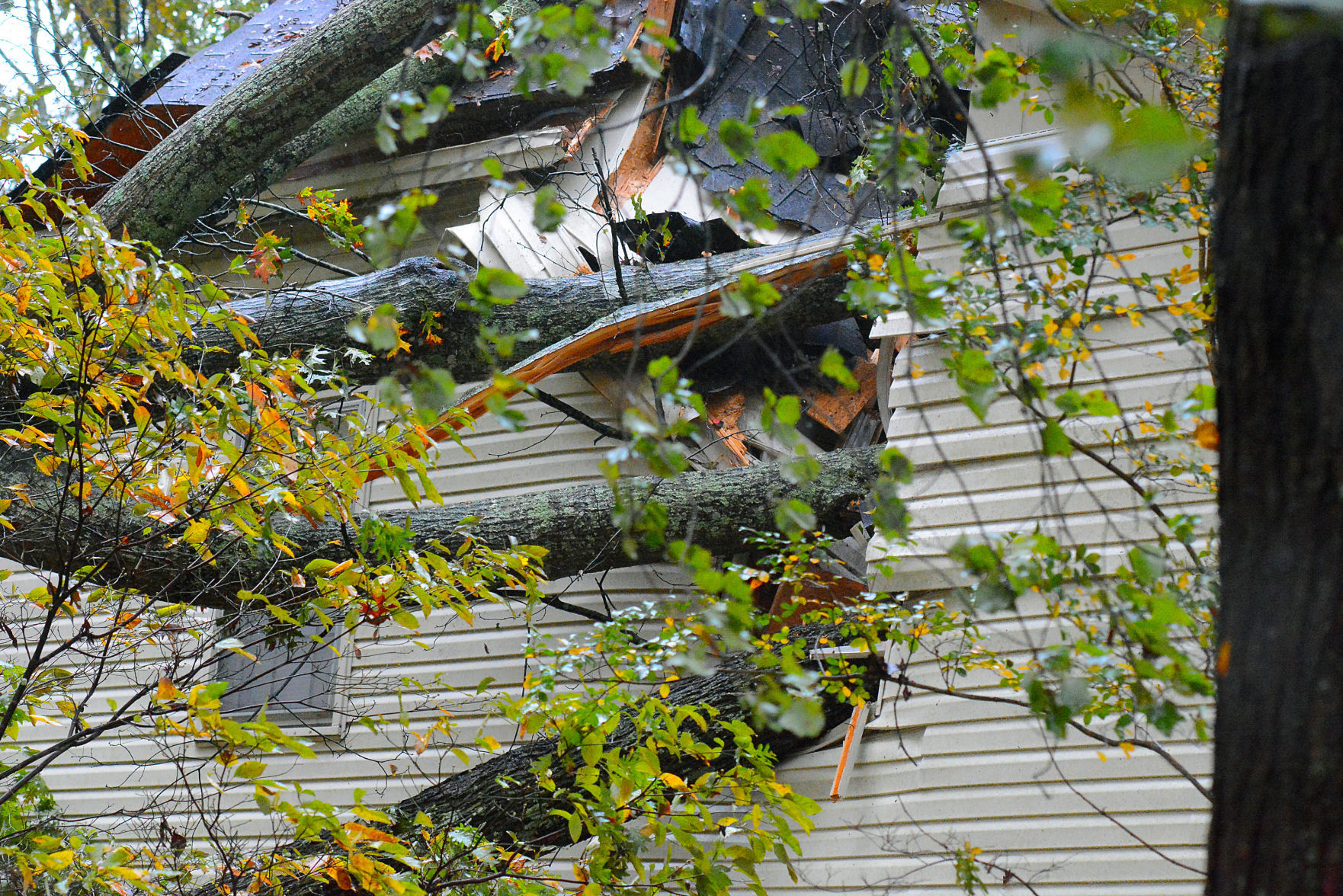 19th ave ne Hickory 1